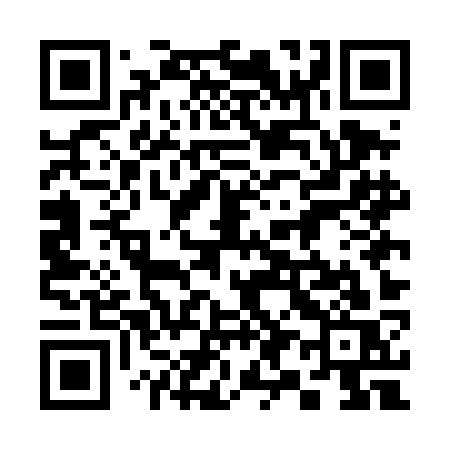 QR code for 395DKS