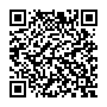 QR code for 397BIW