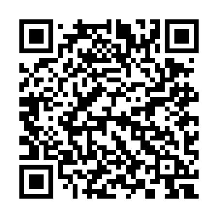 QR code for 397DIB