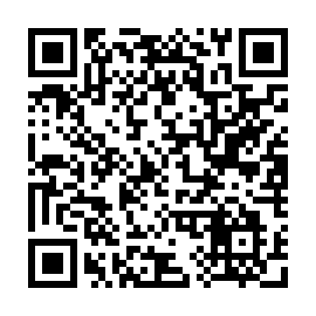 QR code for 397NUO