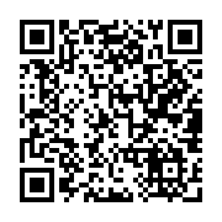 QR code for 397SOO