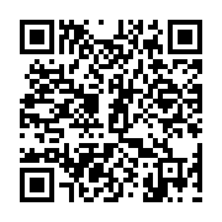 QR code for 399MNT