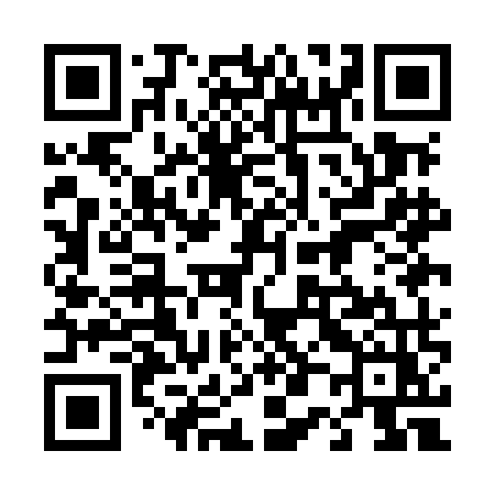 QR code for 401MMZ