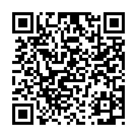 QR code for 410TOY