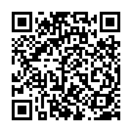 QR code for 411CEI