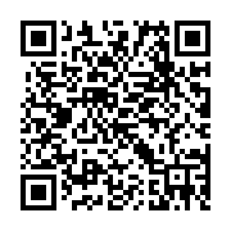 QR code for 411IYT