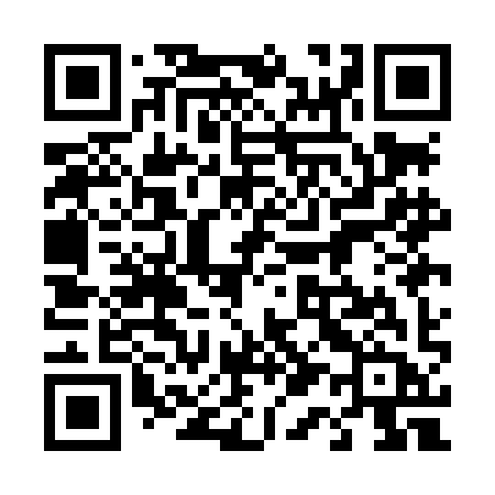 QR code for 411LIB