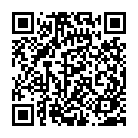 QR code for 411LUO