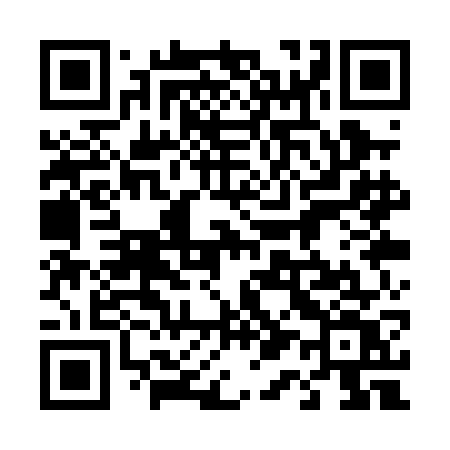 QR code for 411PGV