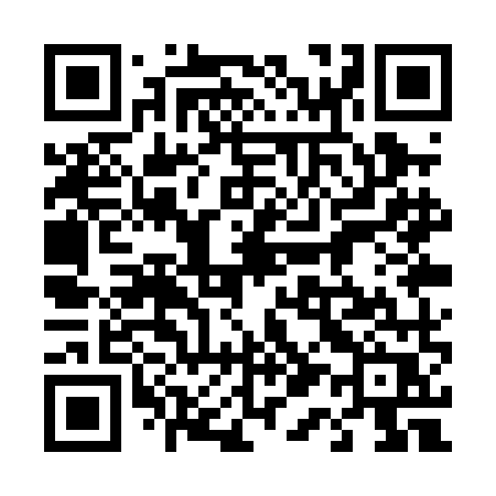 QR code for 411PMR