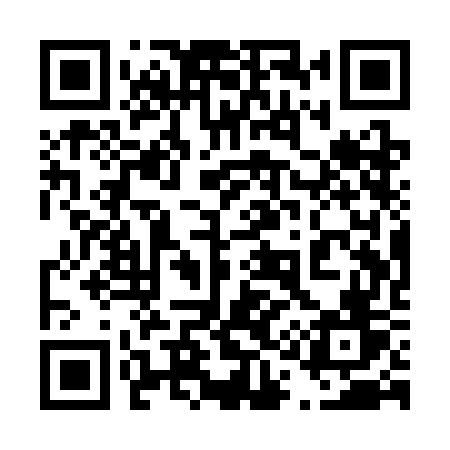 QR code for 411SGV