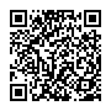 QR code for 411SUI