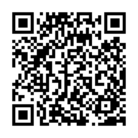 QR code for 411TZO