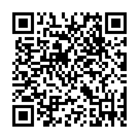 QR code for 411UBL