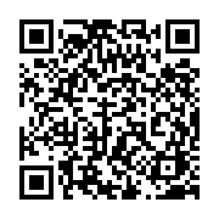 QR code for 411UGC