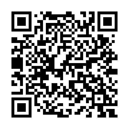 QR code for 411VPM