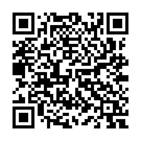 QR code for 411YER