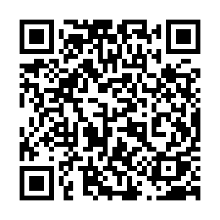 QR code for 411YQQ