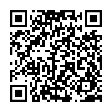 QR code for 419NZN