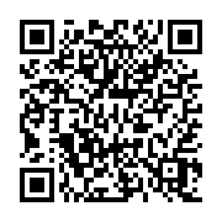 QR code for 419PAV