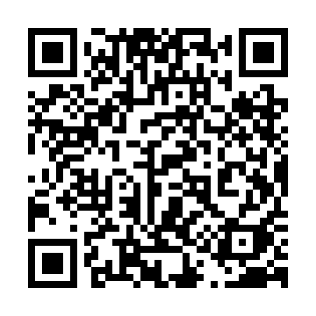 QR code for 419SAI