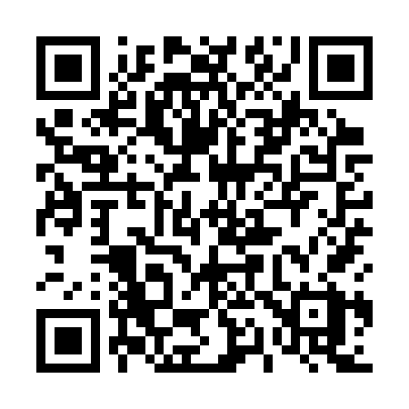QR code for 419SVX