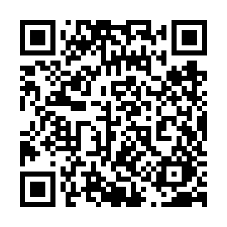 QR code for 419VZO