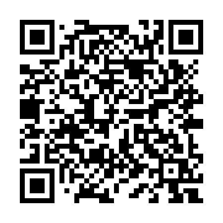 QR code for 419ZYS