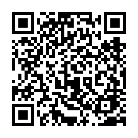 QR code for 425FNE