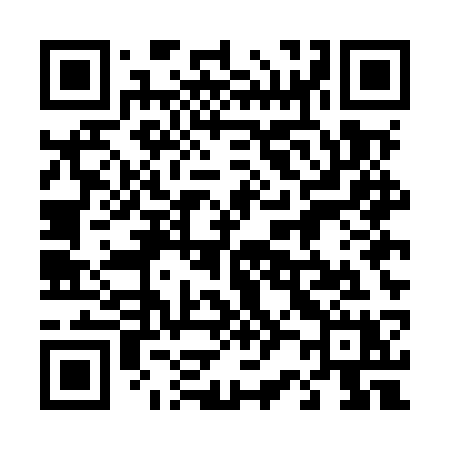 QR code for 425MSX