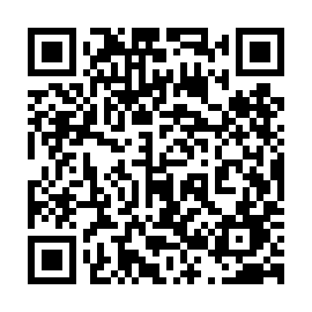 QR code for 425TID