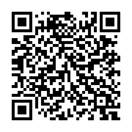 QR code for 441DDT