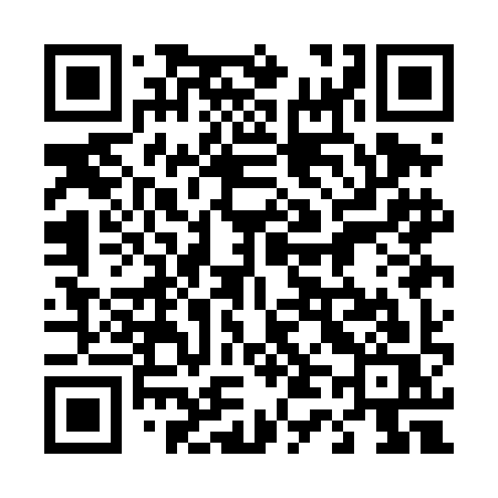 QR code for 441DIS