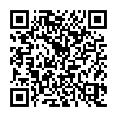 QR code for 441LVS