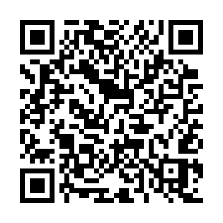 QR code for 441SUS