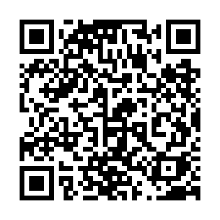 QR code for 447WGI