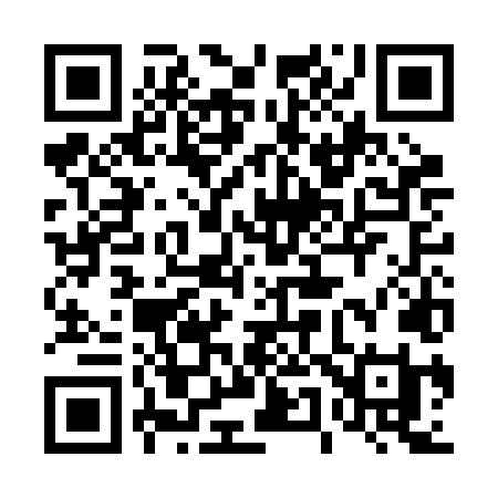 QR code for 453BLI