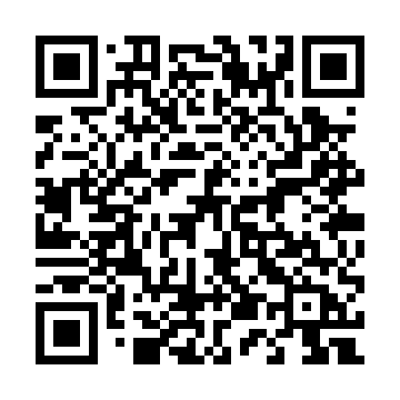 QR code for 453PUB