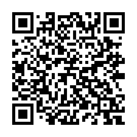 QR code for 459PCS