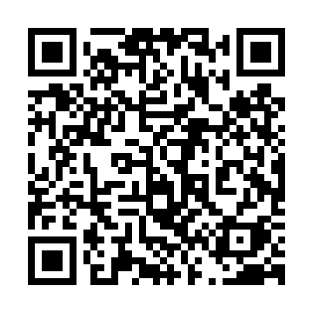 QR code for 460DSI