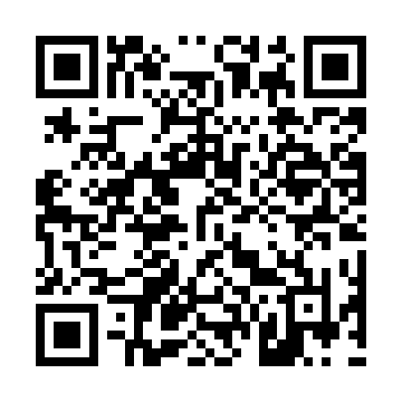 QR code for 460MTN