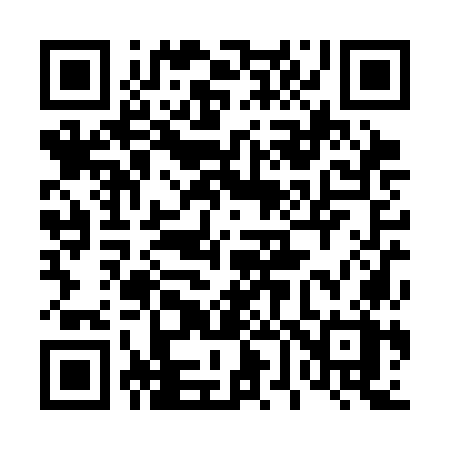 QR code for 460SOX