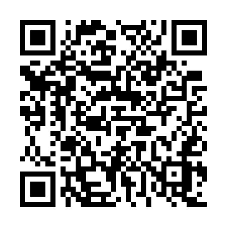 QR code for 461GUZ