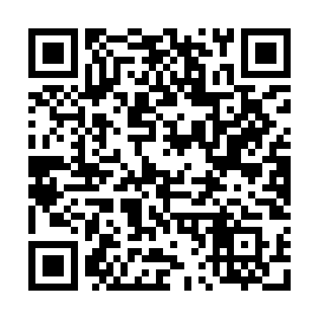 QR code for 461IOS