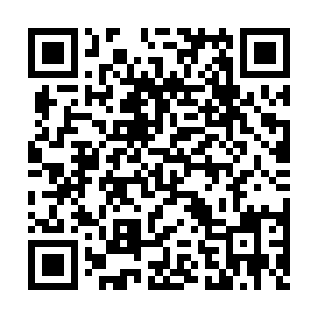 QR code for 461PQI
