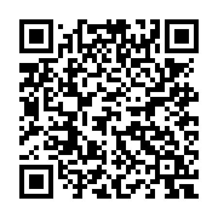 QR code for 462NAV