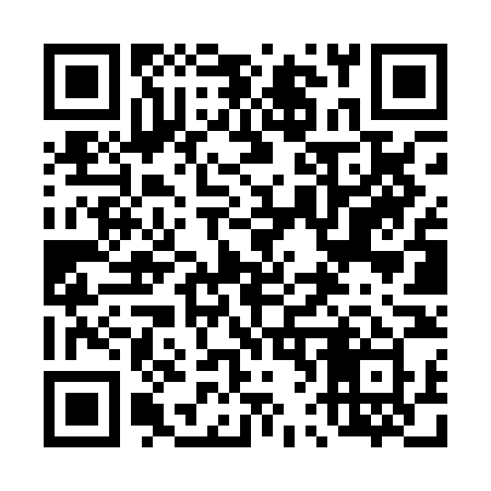 QR code for 462PNY