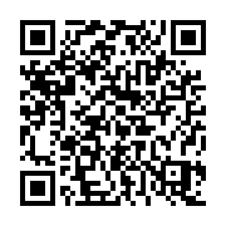 QR code for 462UBS