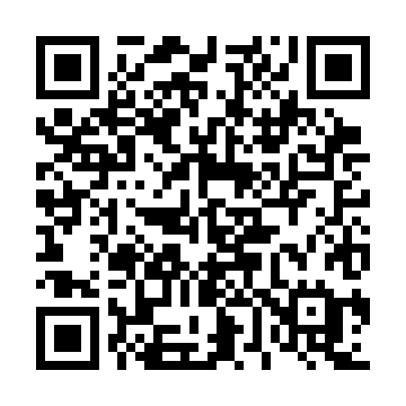 QR code for 463CHE