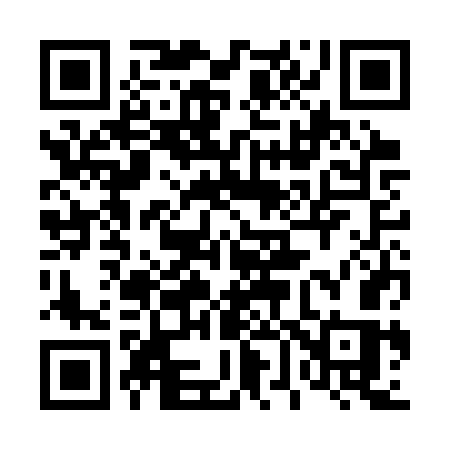 QR code for 463CWS